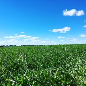 Meet your Posher, Alicia